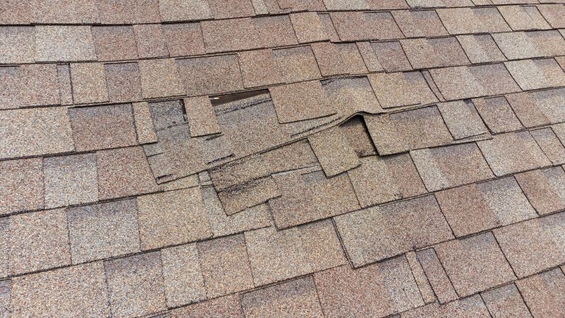 Roof Repair Consultation